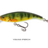 YOUNG PERCH