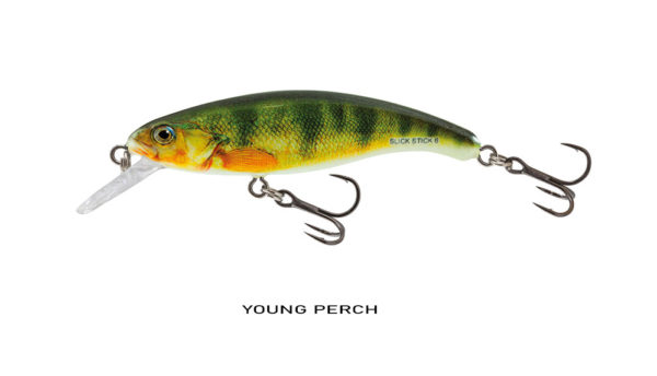 YOUNG PERCH