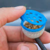 sprinkle soft pot_3