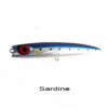 Sardine