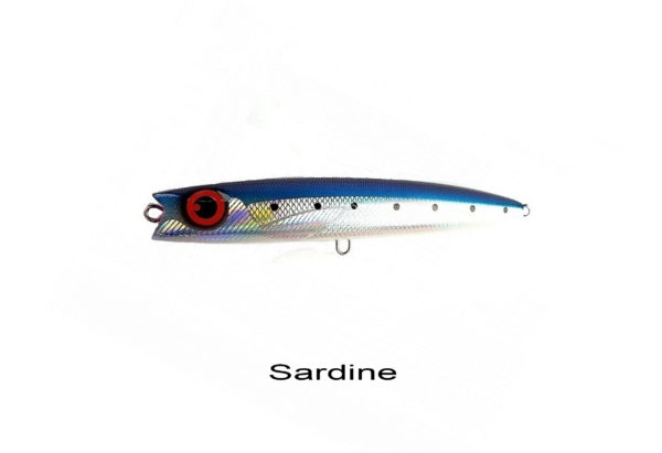 Sardine