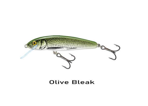 Olive Bleak