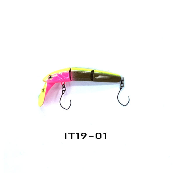 IT19-01
