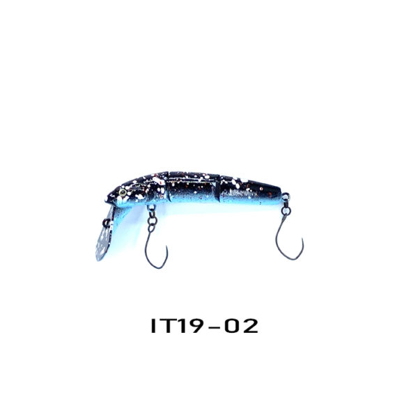 IT19-02