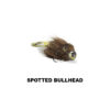 MIURAS MOUSE_SPOTTED BULLHEAD