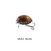 MAY BUG