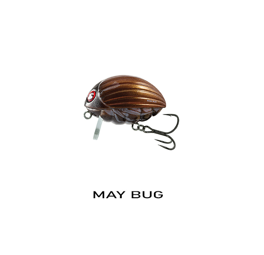 MAY BUG