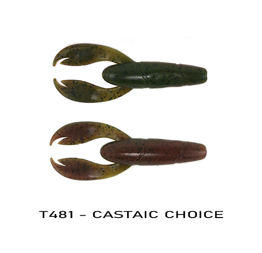 T481