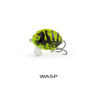 WASP