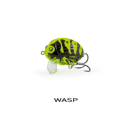 WASP