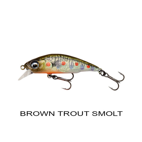 BROWN TROUT SMOLT