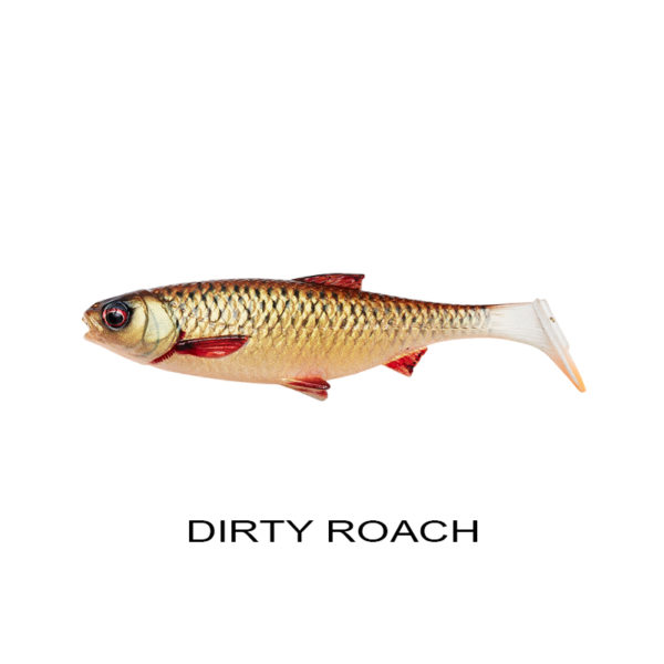 DIRTY ROACH