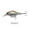 ROACH