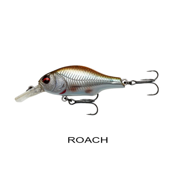 ROACH