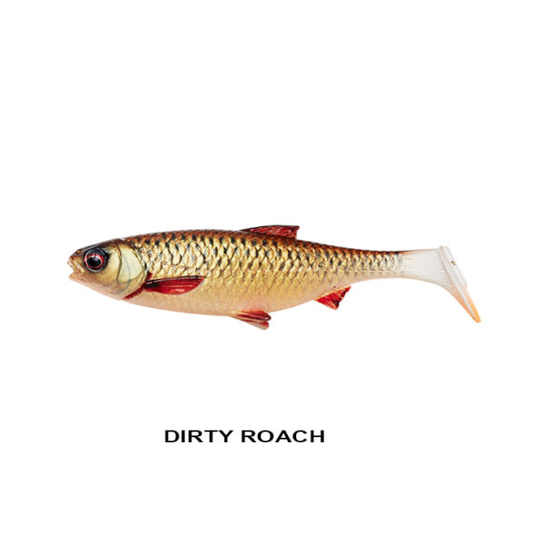 DIRTY ROACH