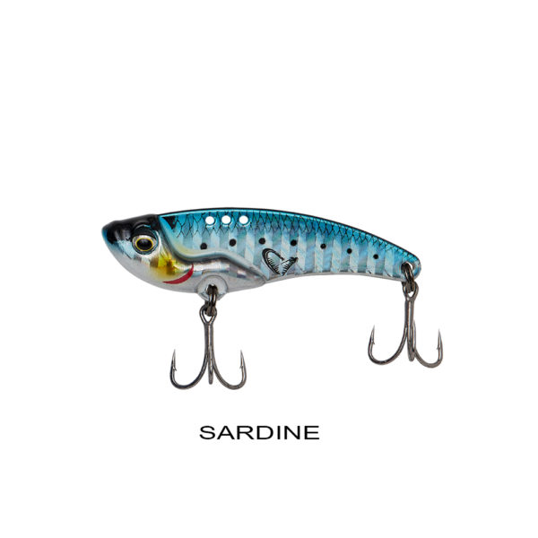SARDINE