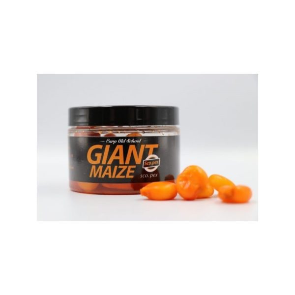 CARP-OLD-SCHOOL-GIANT-MAIZE-SCO-PEX
