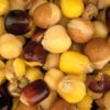 LARGE-SEED-MIX.2e16d0ba.fill-600×600