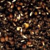 OILY-HEMP.2e16d0ba.fill-600×600