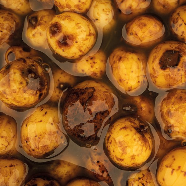 SWEET-TIGER-NUTS.2e16d0ba.fill-600×600