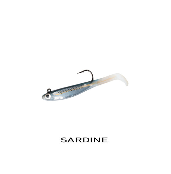 sardine
