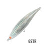 JANAS_107 BLUE WATER_GSTR