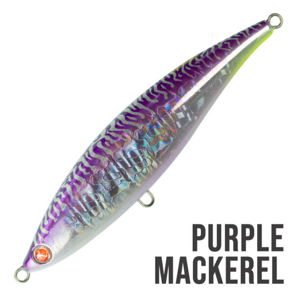 PURPLE-MACKEREL_