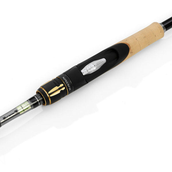 sustain bx spinnnig_4