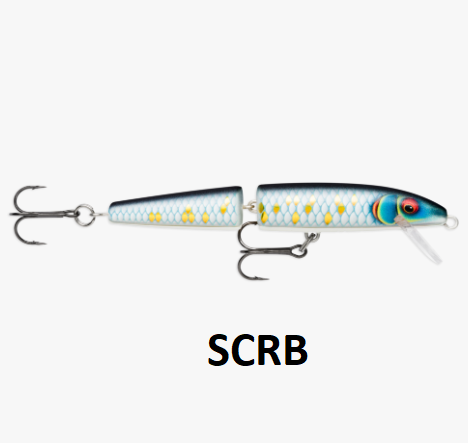 SCRB