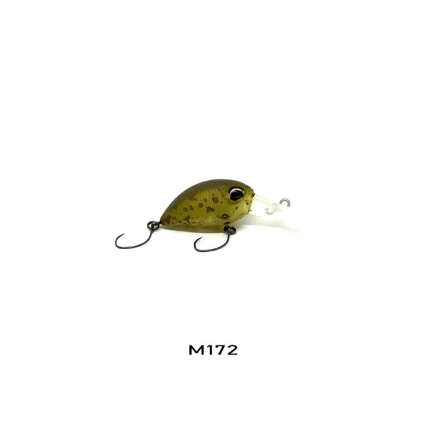 M172