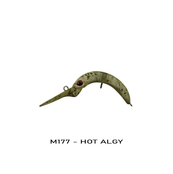 M177 – HOT ALGY