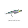 POWER TAIL_80_REAL MACKEREL