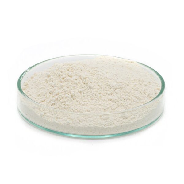 super-garlic-concentrate (1)