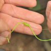 products-Korda-Marker-Elastic-3-Freetime