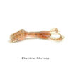 0047860_SHRIMP_1000