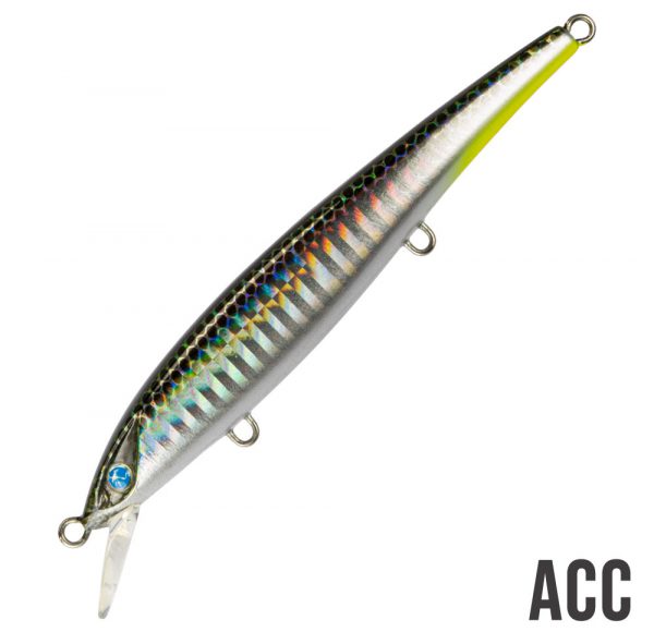 ACC–600×580