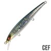 CEF–600×580