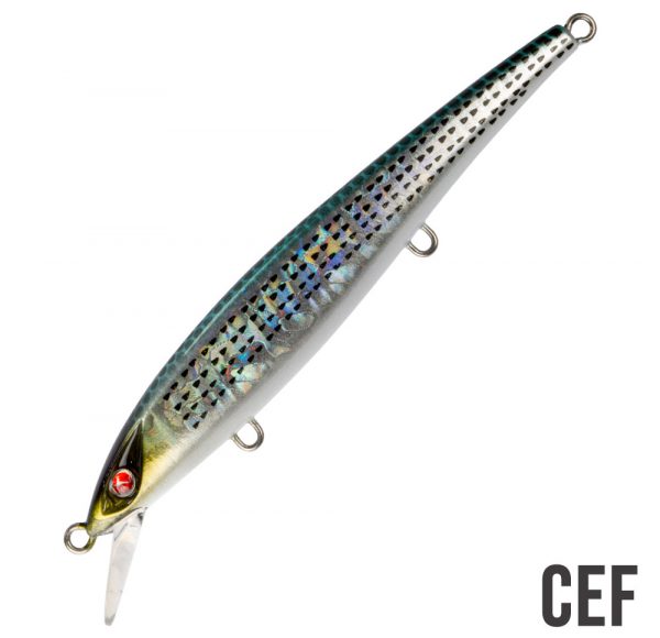 CEF–600×580