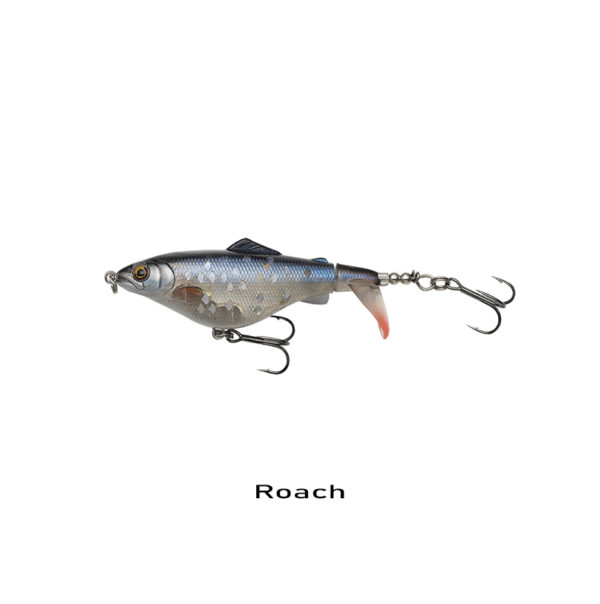 roach