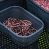 eva-stacking-bait-tubs-11