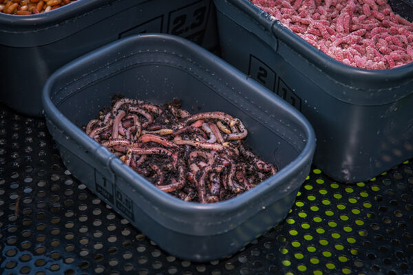 eva-stacking-bait-tubs-11