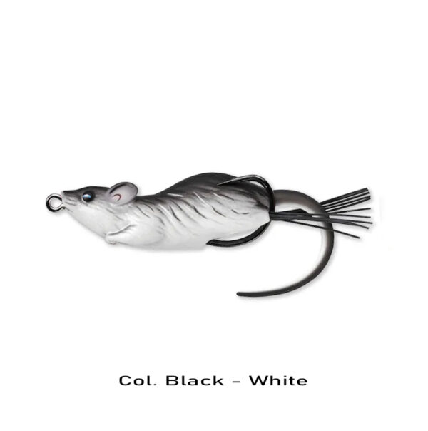 BLACK – WHITE