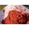 robin red groundbait pro_2