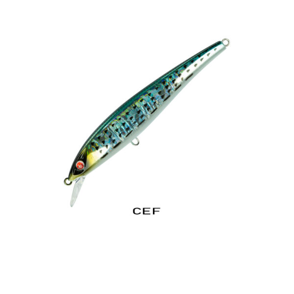 EJA 115_CEF