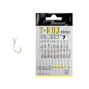 amo legato valsesiano vincent