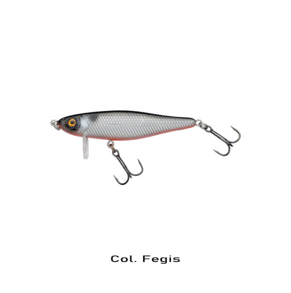 fegiss