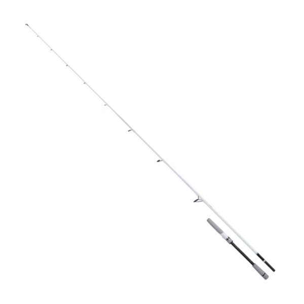 stradic spinning seabass