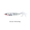 HYPNO CAST_SILVER MORNING