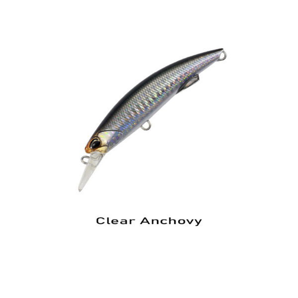 BLAZIN 92_clear anchovy