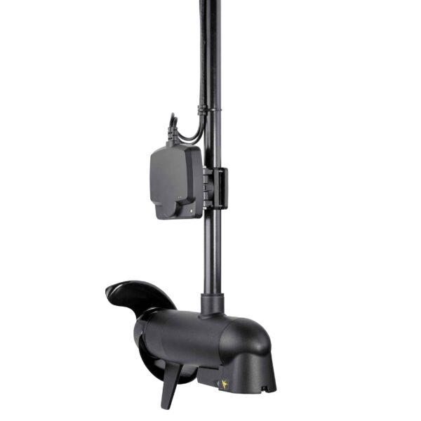 HB_710304-1_MEGA_LIVE_IMAGING_alt3-scaled